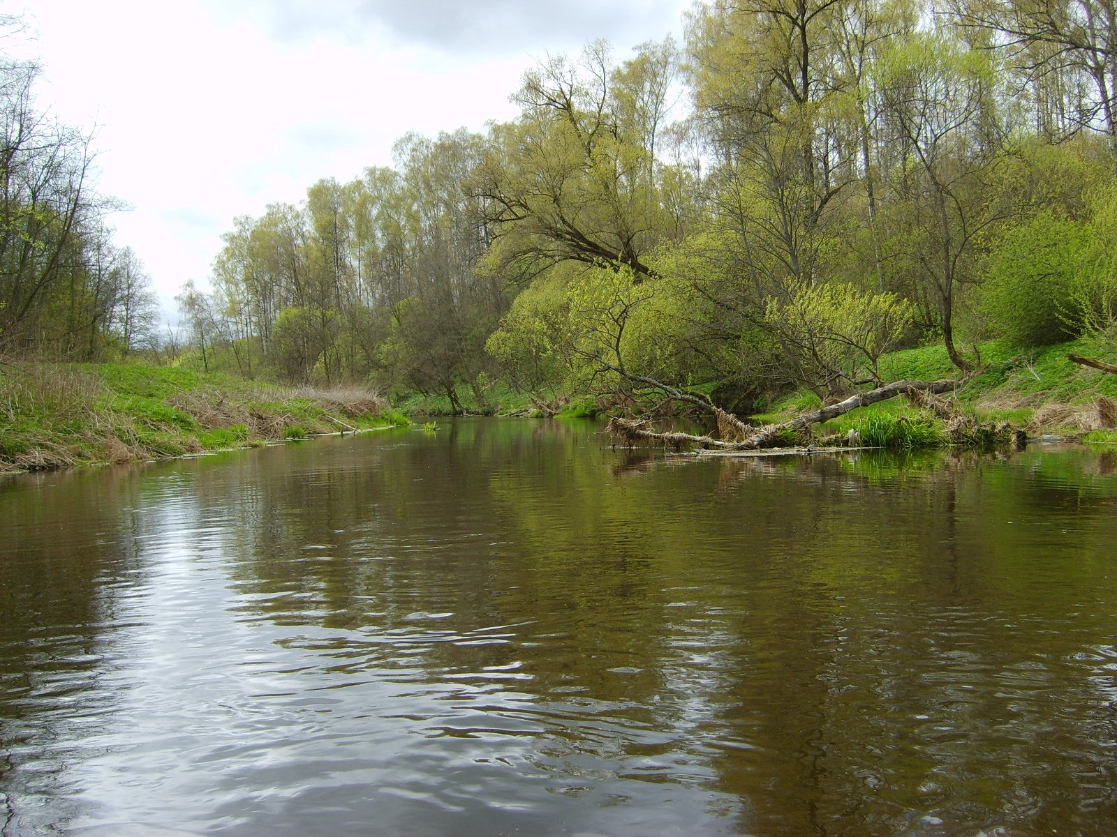 Рожайка