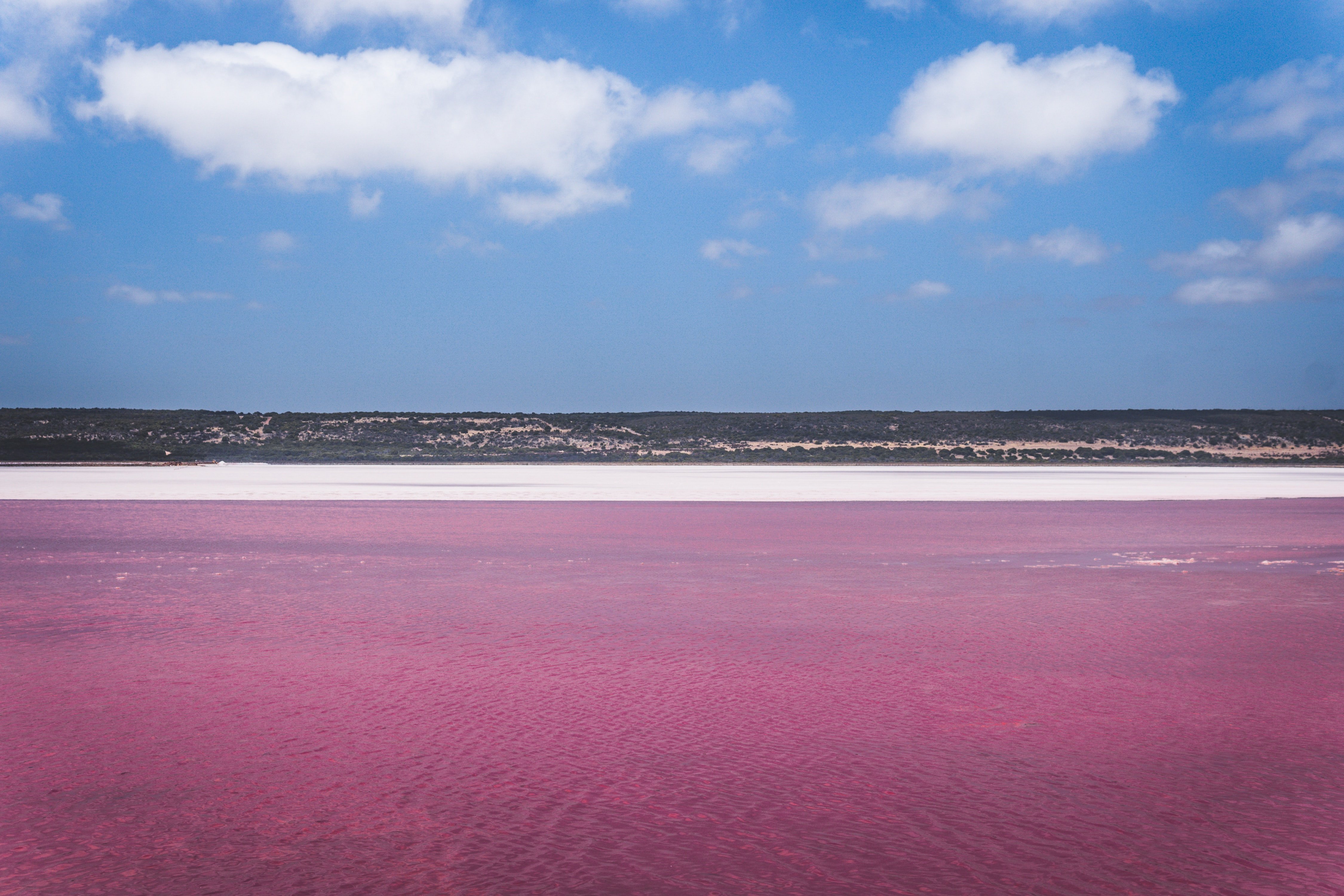 Озеро хиллер австралия. Озеро Хиллиер, Австралия. Озеро Ретба Сенегал. Розовое озеро Хиллер Австралия. Озеро Хиллиер (Lake hillier), Австралия.