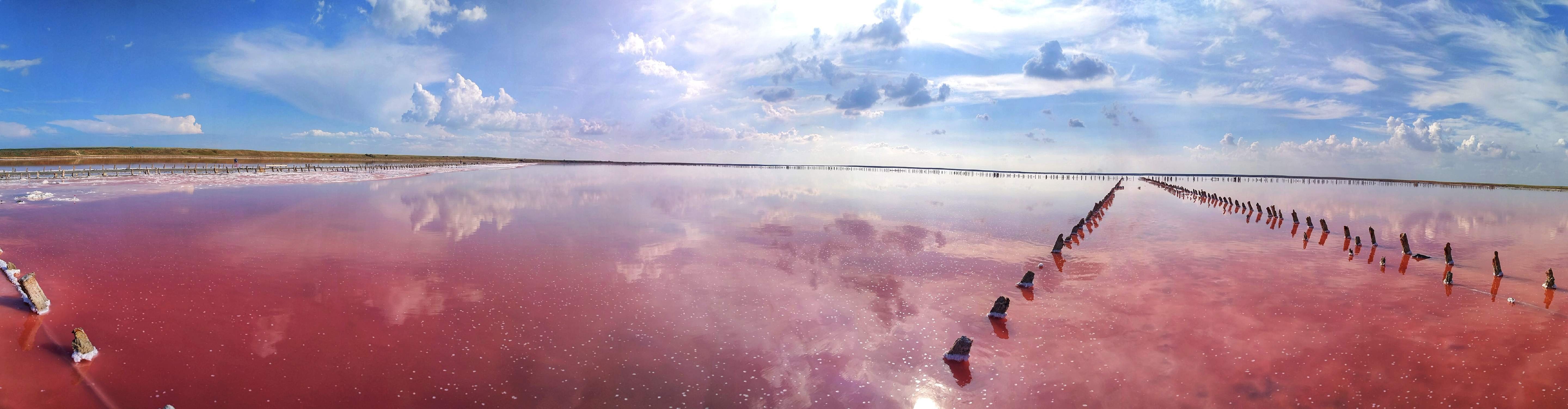 розовое озеро в украине