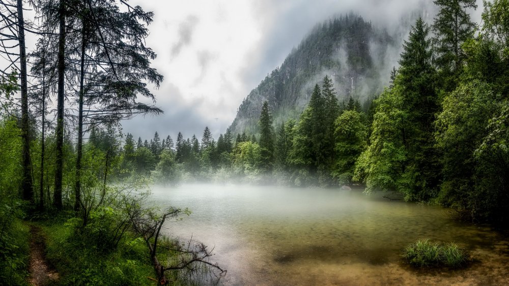 Горы туман лес озеро