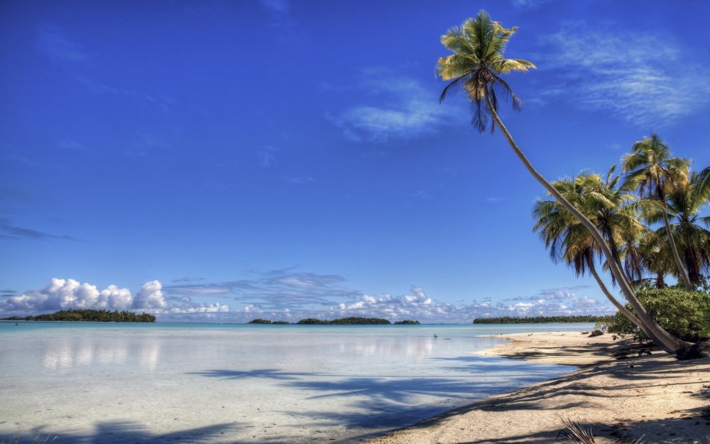 Пляж с пальмами