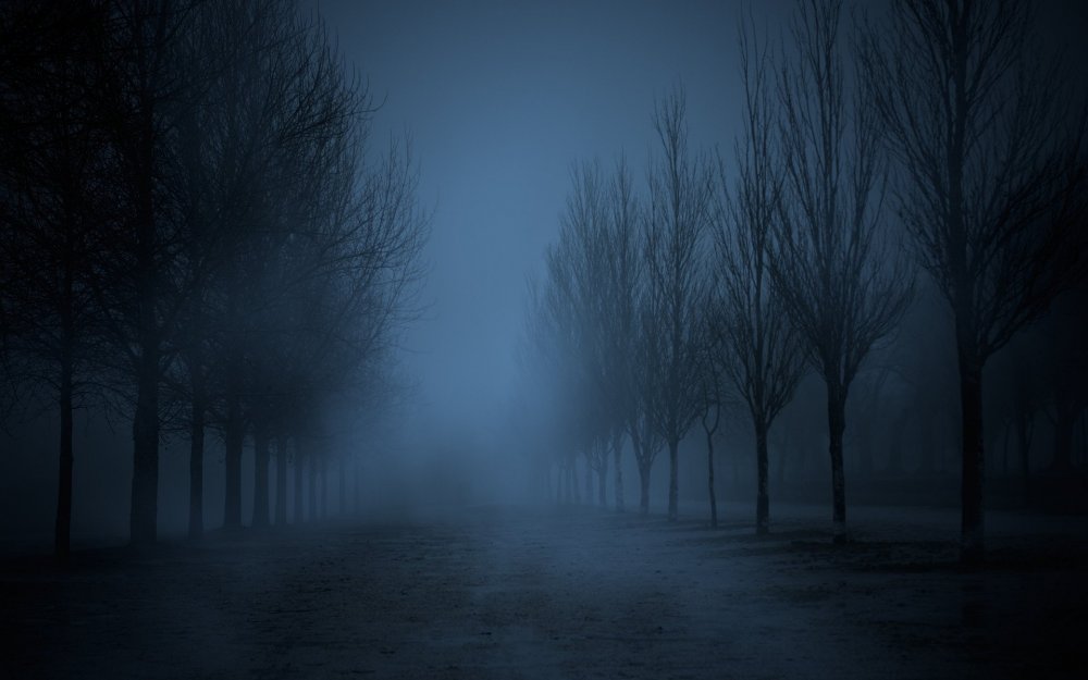 Туман ночью