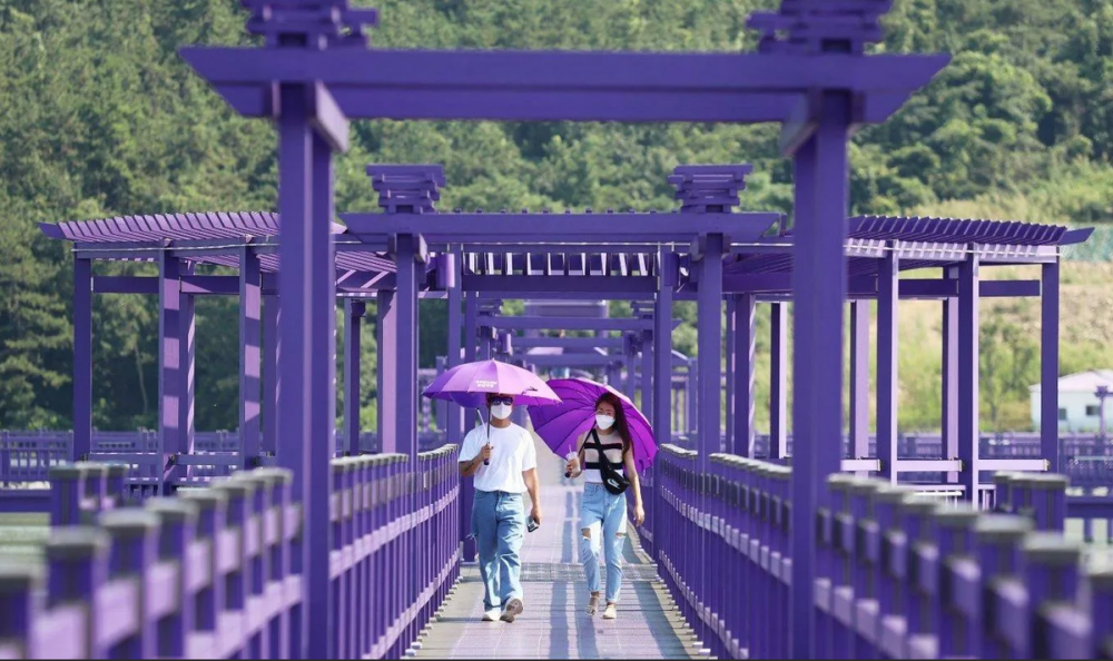 Фиолетовый остров в Южной Корее