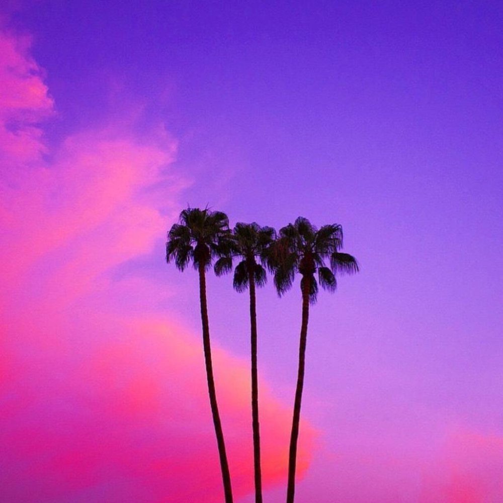 Фиолетовые пальмы
