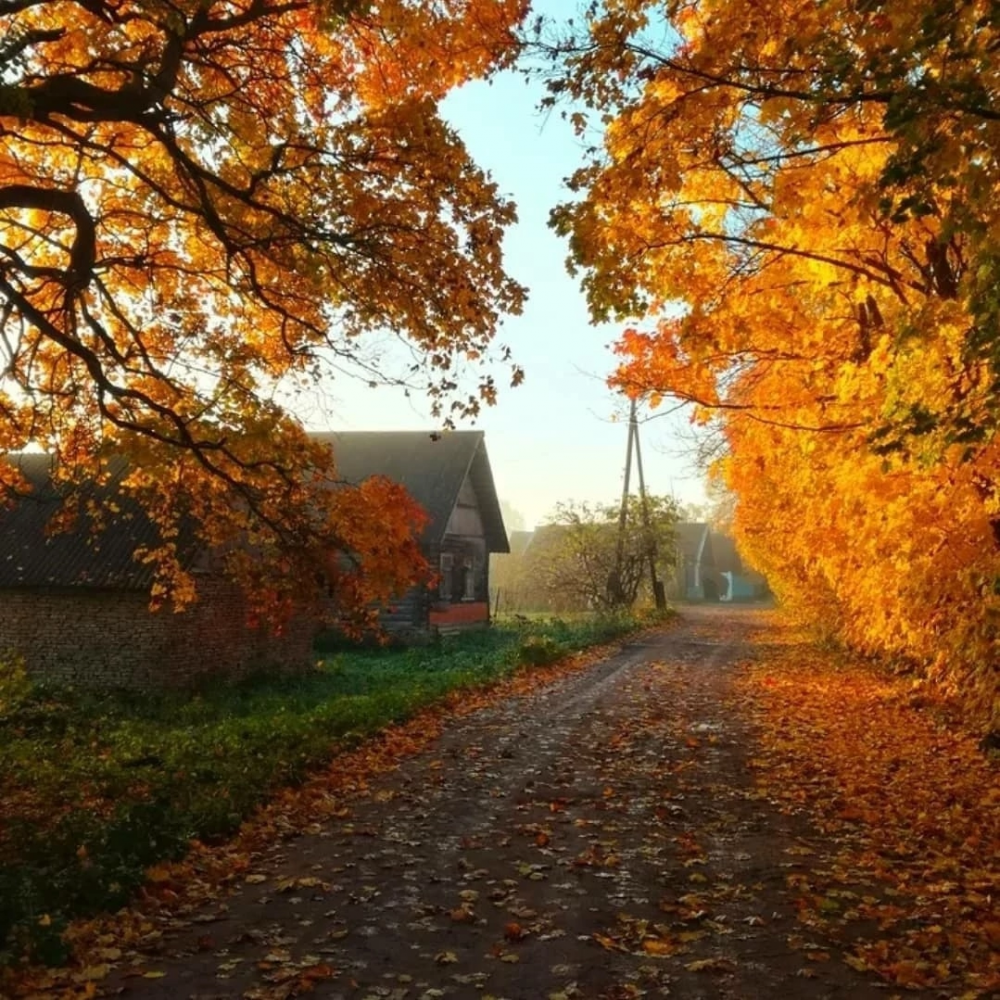 Природа осенью в деревне (61 фото) - 61 фото