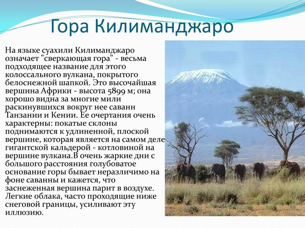 Килиманджаро доклад