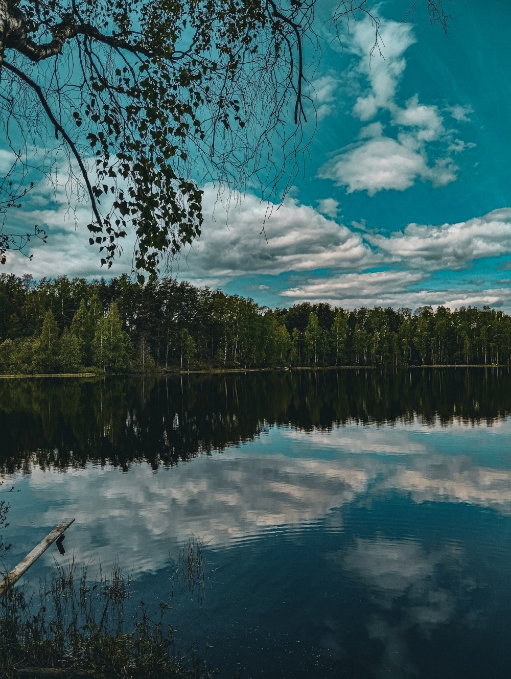Мир у озера юкки