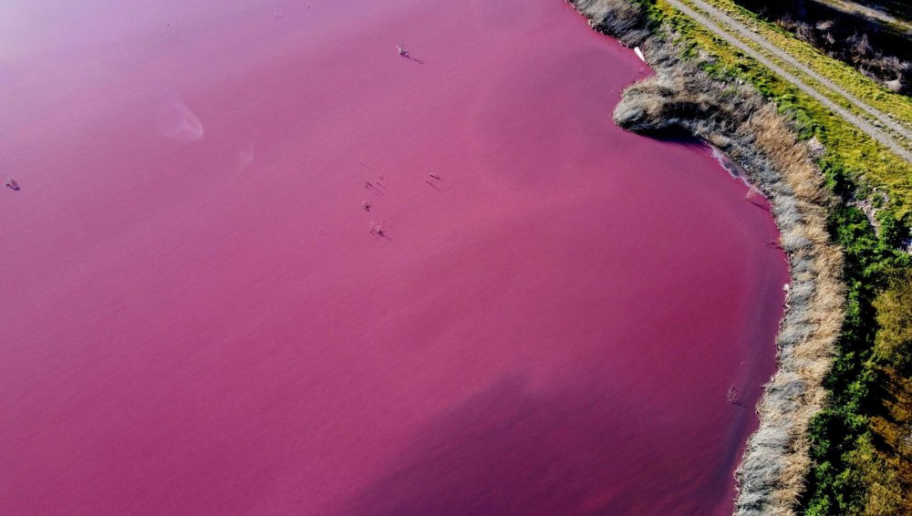 Розовое озеро в Аргентине