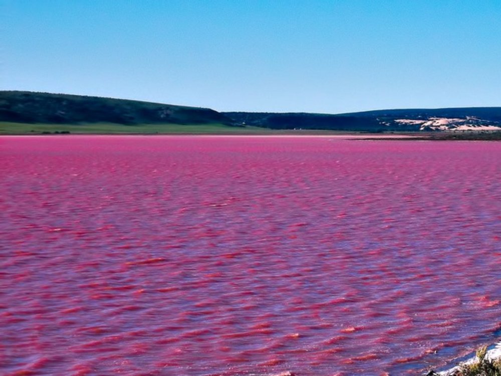 Розовое озеро Магади