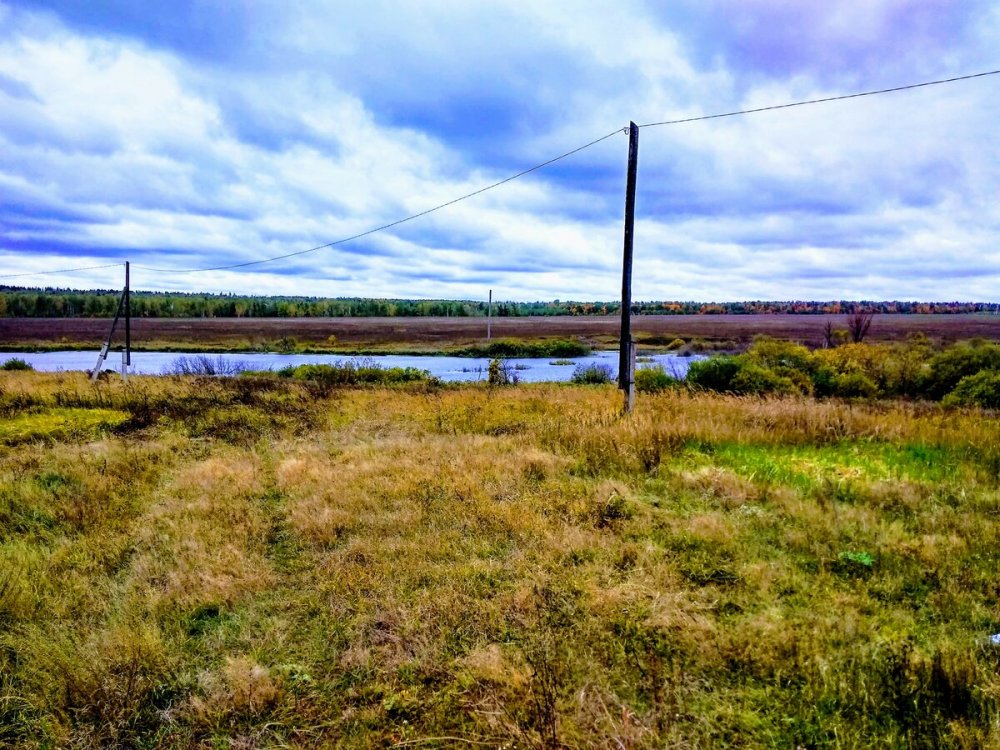 Гисметео ендовище воронежская