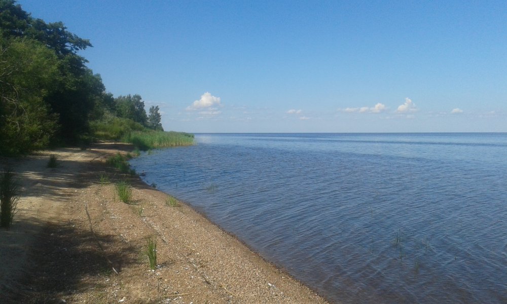 Чудское озеро Муствеэ в Эстонии