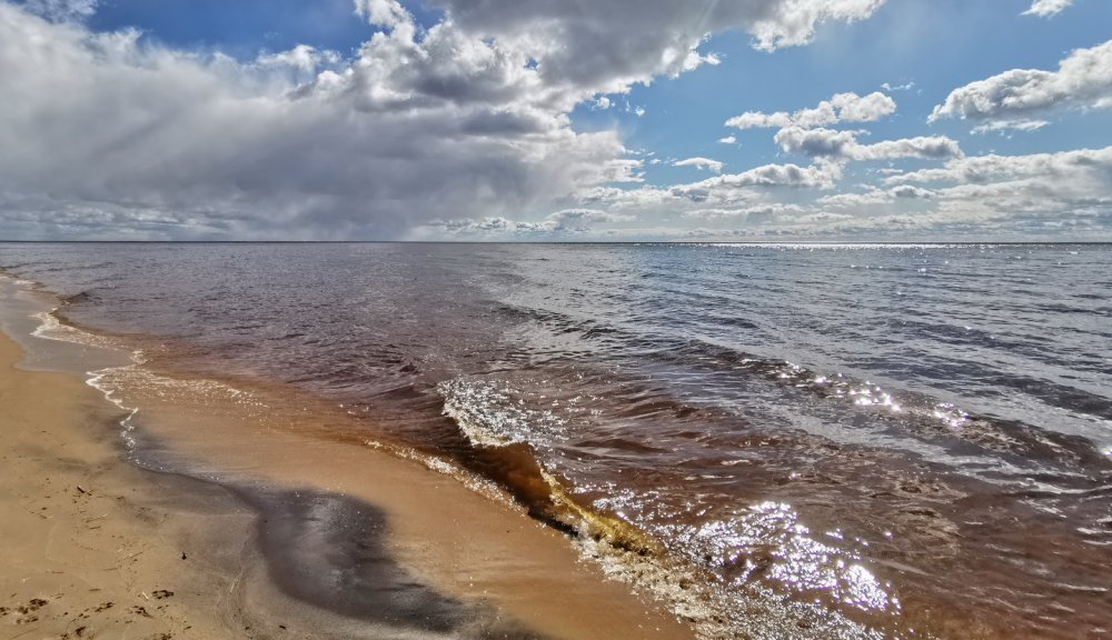 Берег Чудского озера Эстония