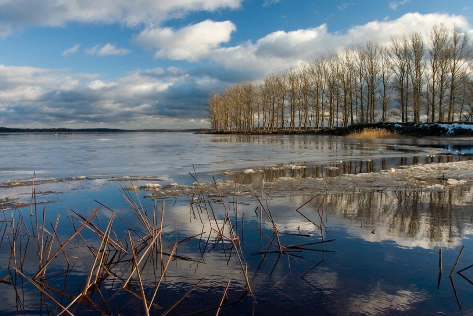 Щука в половодье. Озеро в весеннем разливе русское половодье Репин. Озеро весной.