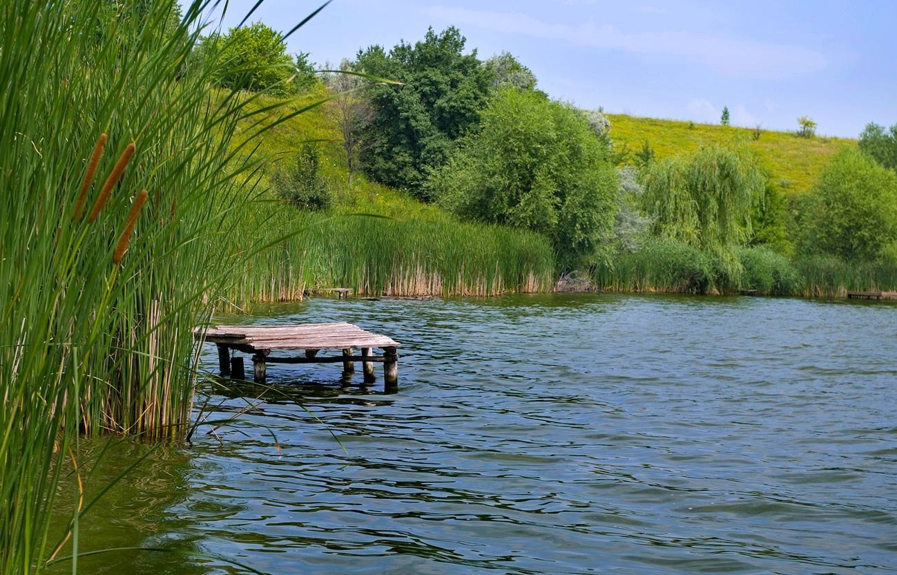 Рыбалка озеро летнее. Рыболовные места. Красивые места для рыбалки. Озеро красивое и рыбалка. Природа река рыбалка.