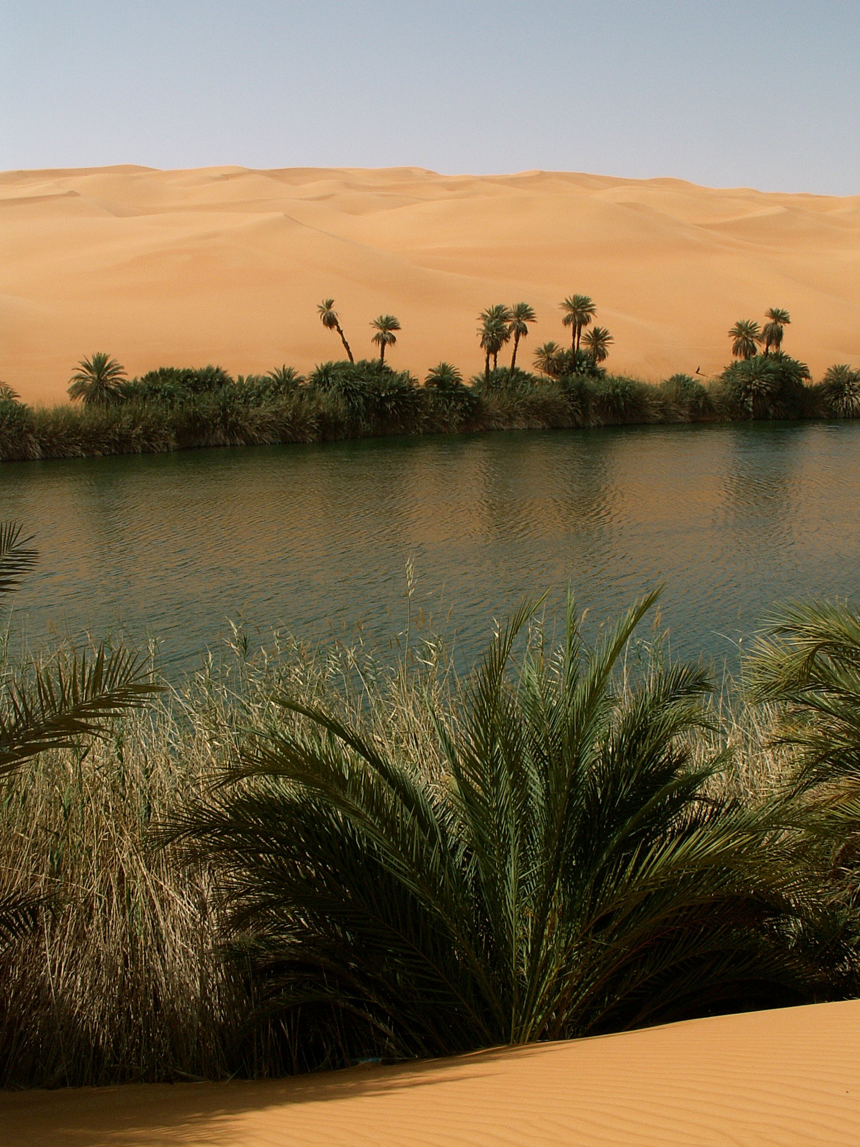 Реки саудовской аравии. Оазис Убари Ливия. Оазис Убари в пустыне. Озера Убари Ливия. Оазисы Саудовской Аравии.