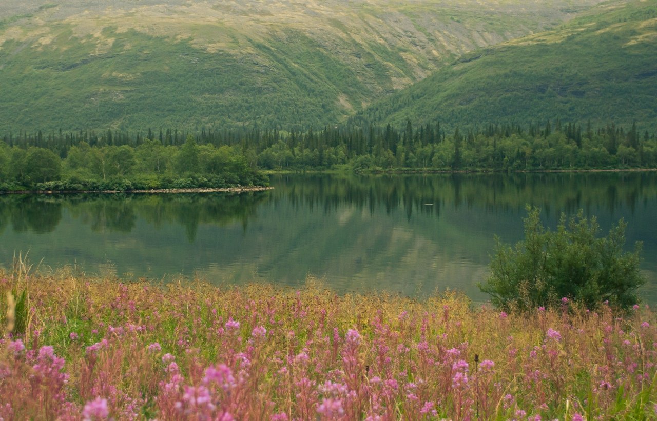 Лапландский биосферный заповедник