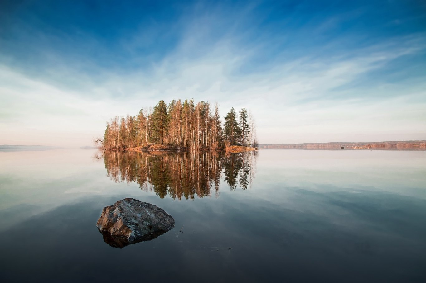 Лес Карелия Онега