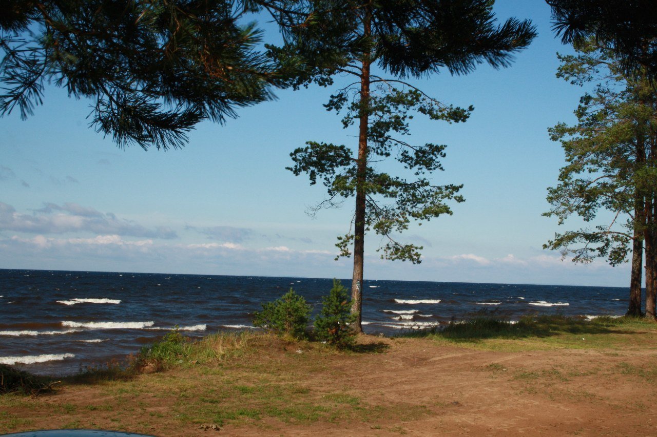 Оне озеро онежское. Онего озеро. Карелия Онега. Онежское озеро Ленинградская область. Онежское озеро Звездный городок.
