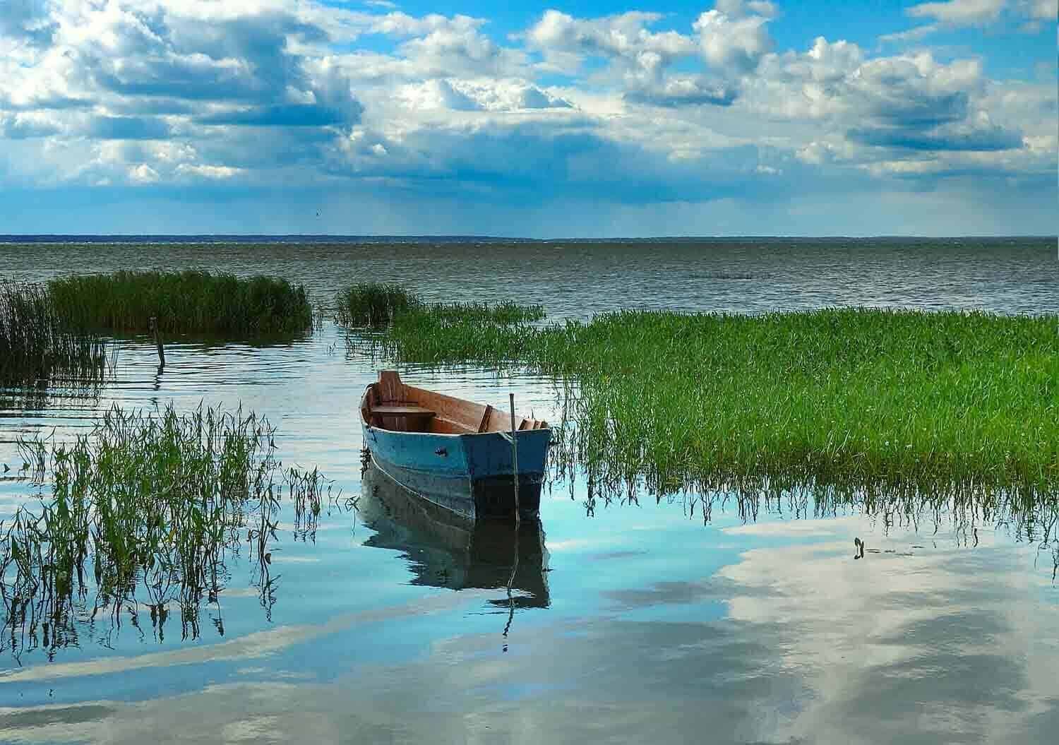 На реке на озере работал. Чаны озеро Артуган. Мыс лебяжий озеро Чаны. Остров Медвежий на озере Чаны Новосибирской области. Озеро Чаны рыба.