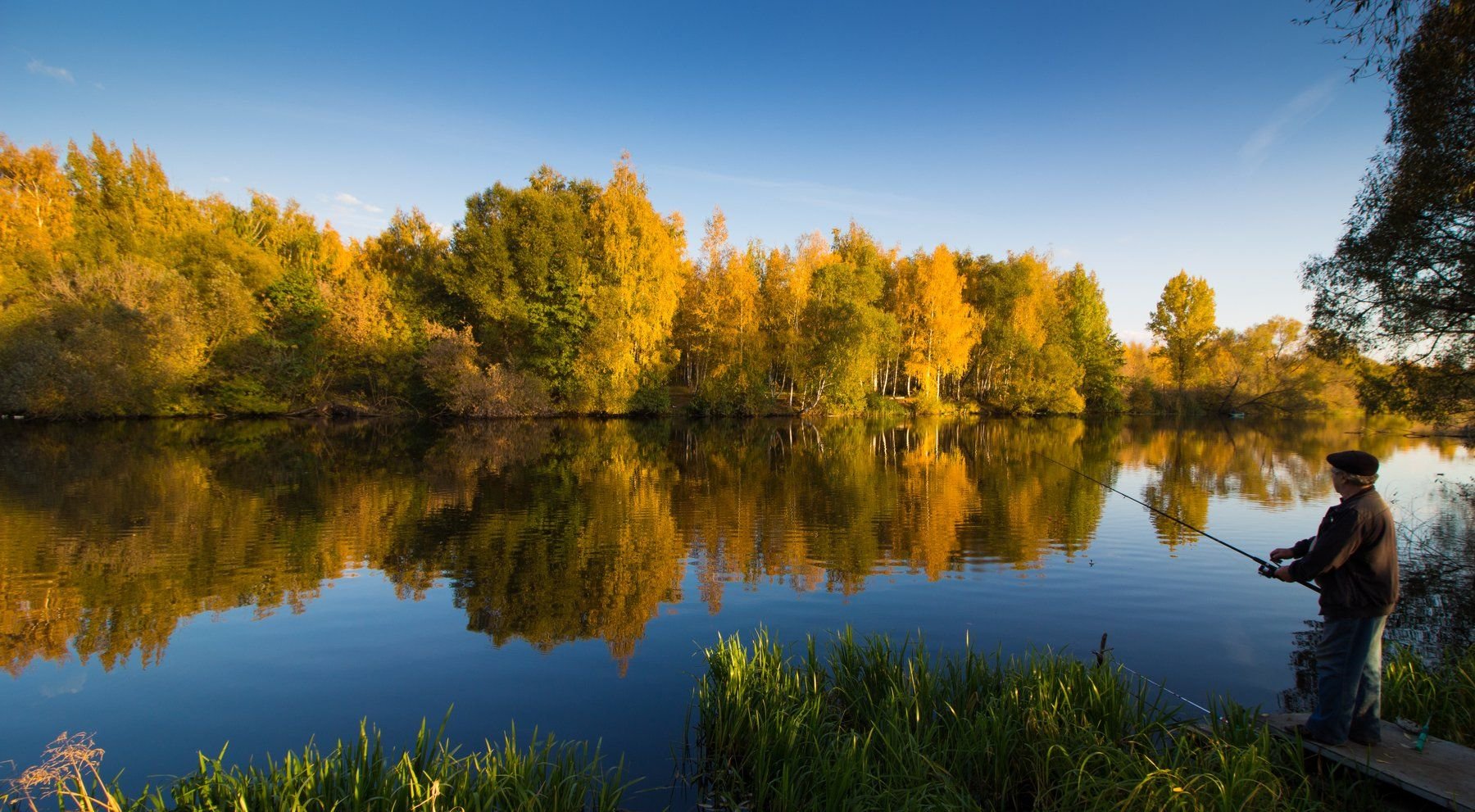 Озеро пожилых людей. Пруд Посельский Липецкая область. Осень река. Осенняя река. Речной пейзаж.