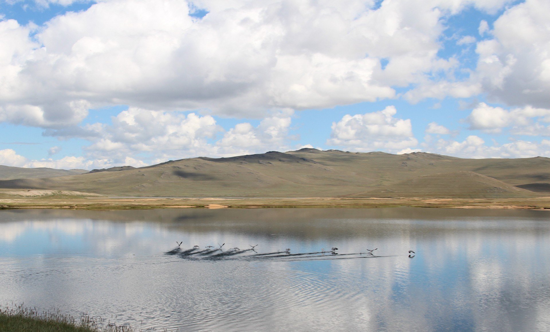 Сут хол. Озеро Чагытай Республика Тыва. Озеро на Монгун Тайга. АК-хол Монгун-Тайга. Озеро АК-Холь.