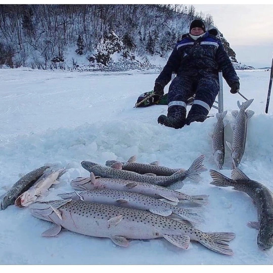 река амур зимой