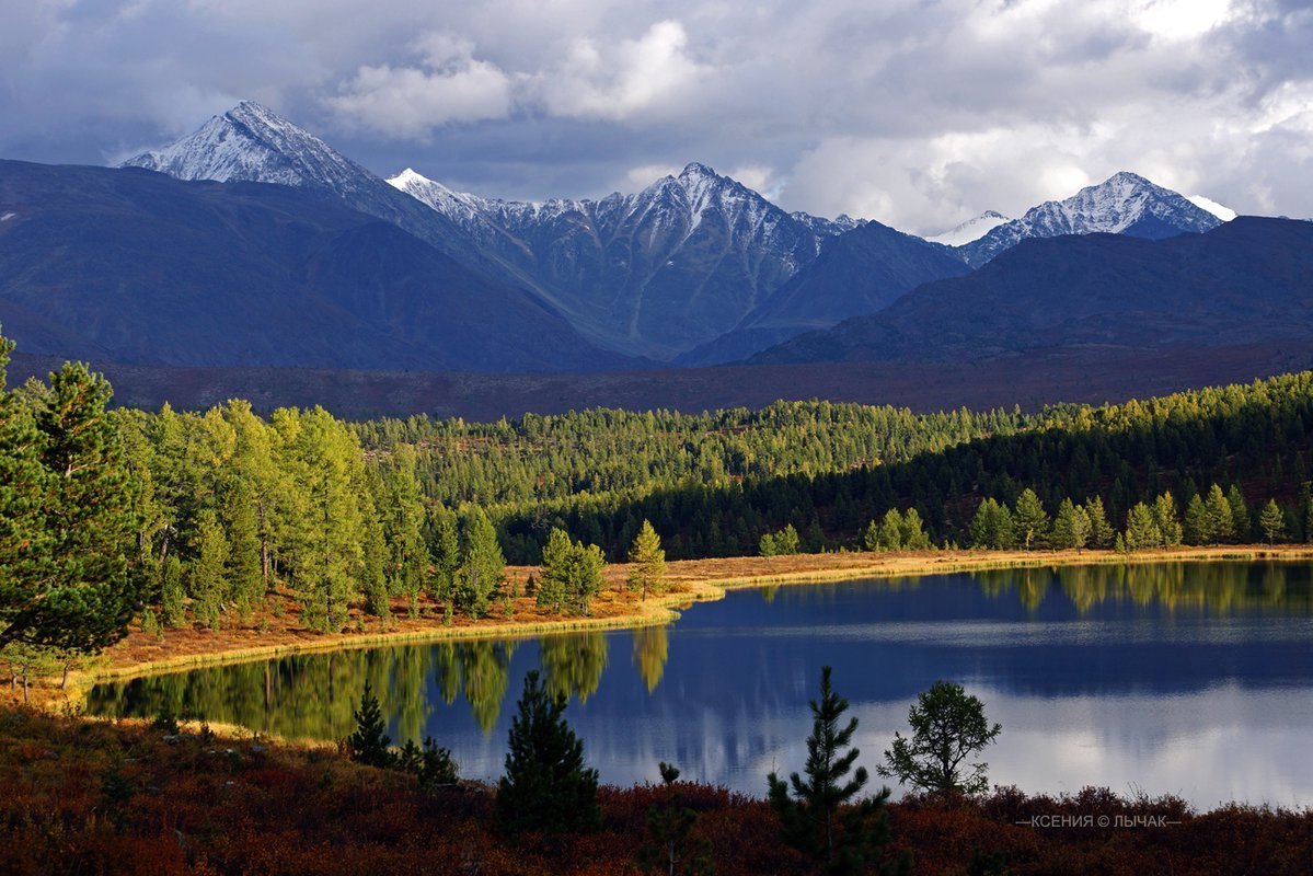 Улаганское плато горный Алтай