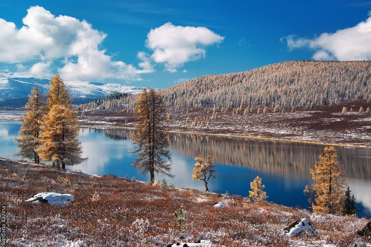 Улаганское плато горный Алтай