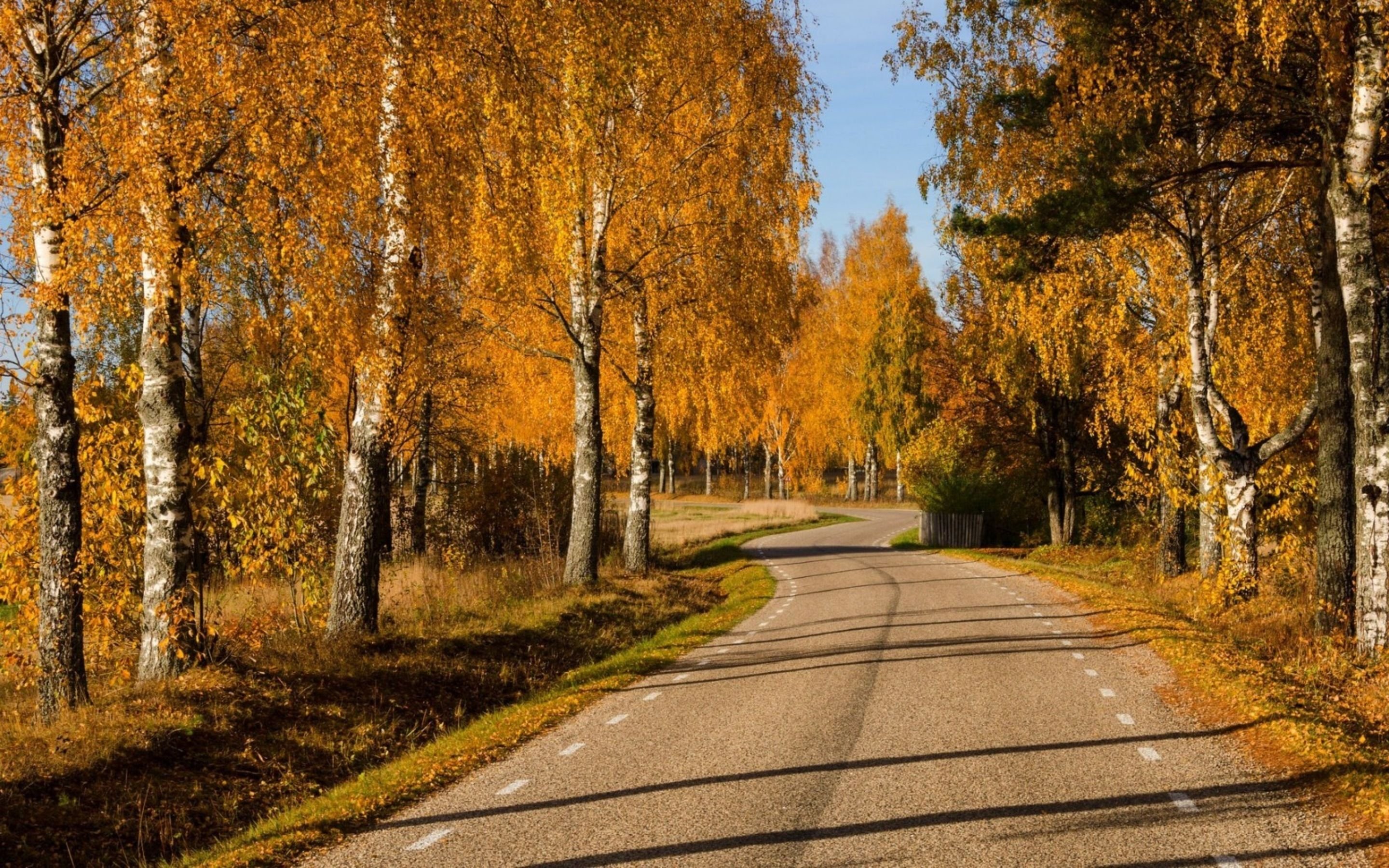 Отправляемся в осень. Осенний пейзаж на рабочий стол. Ранняя осень дорога. Осень высокое качество. Заставки на рабочий стол осень в лесу.