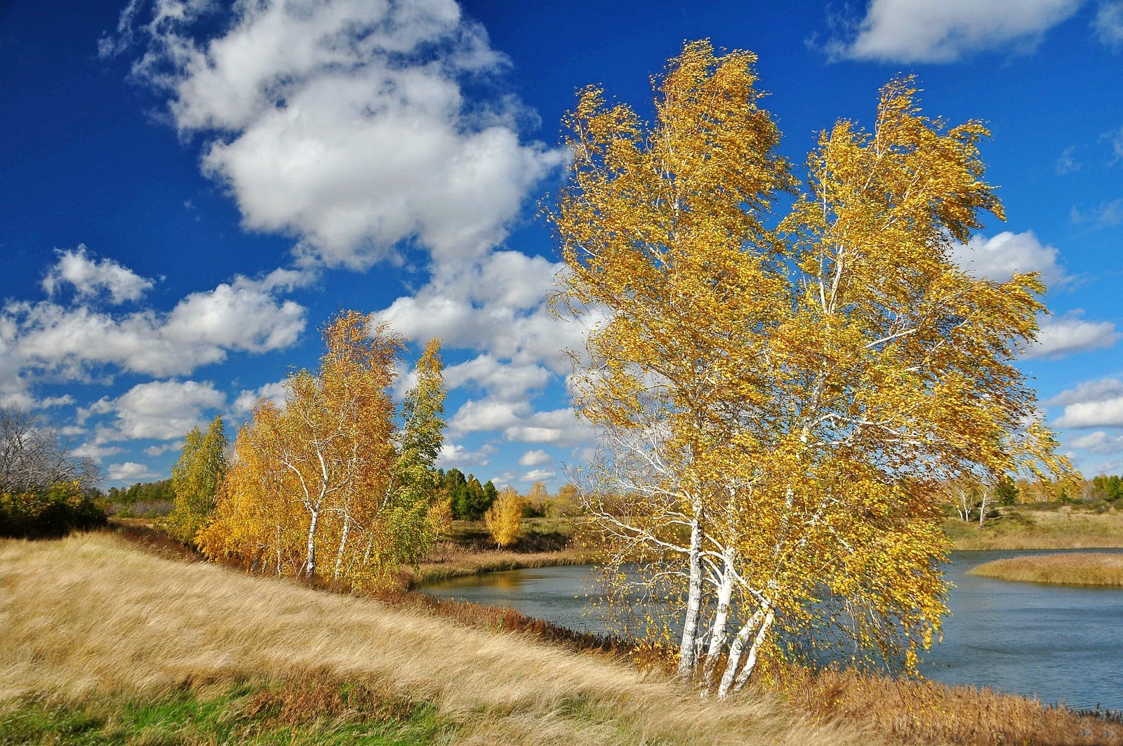 Уголок русской природы. Фотопейзажи Владимира Рябкова. Природа Калачинска. Сибирь Омск природа. Осень в Омской области.