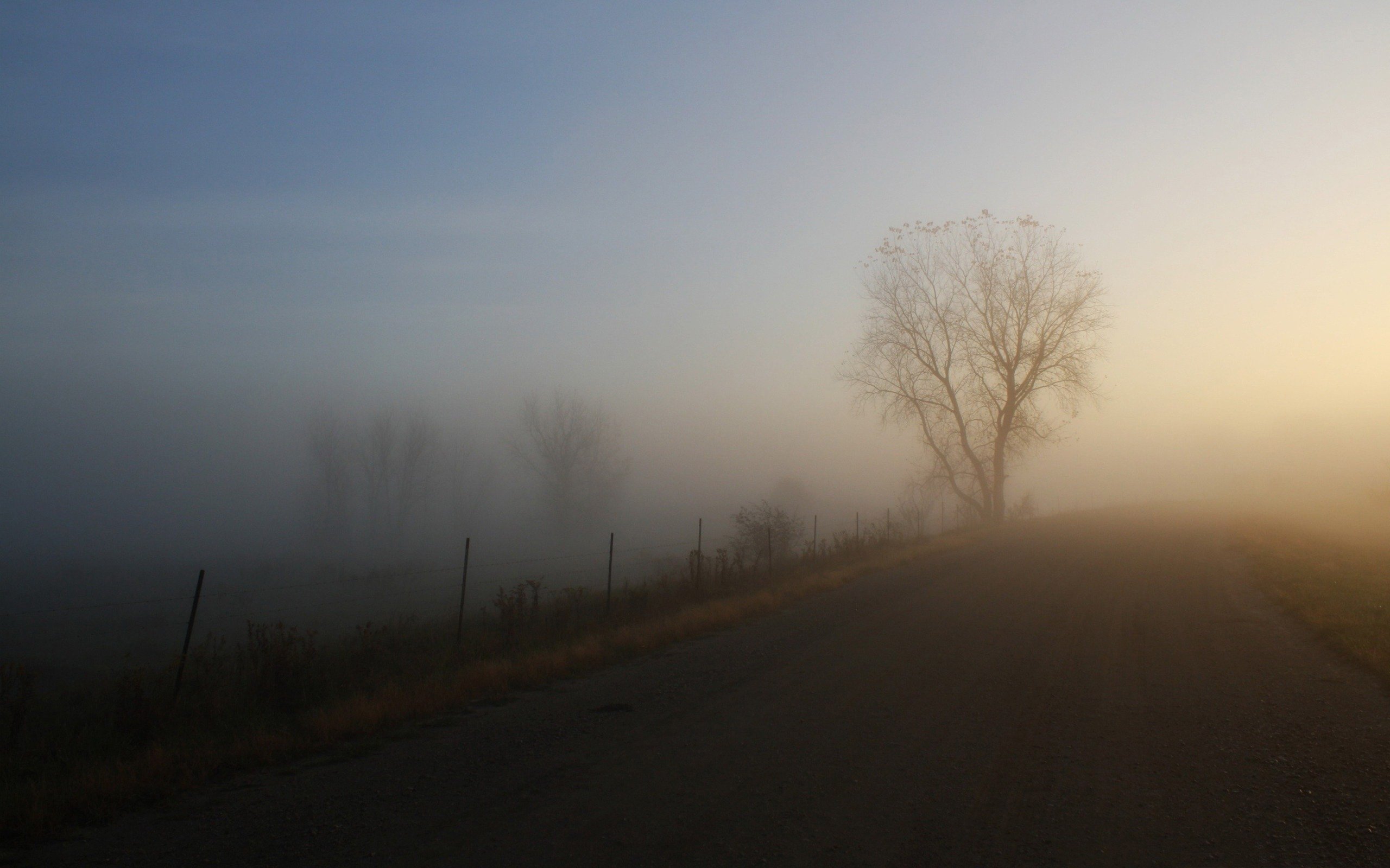 Условиях сильного тумана. Дорога в тумане. Туманный пейзаж. Туманное утро. Сильный туман на дороге.
