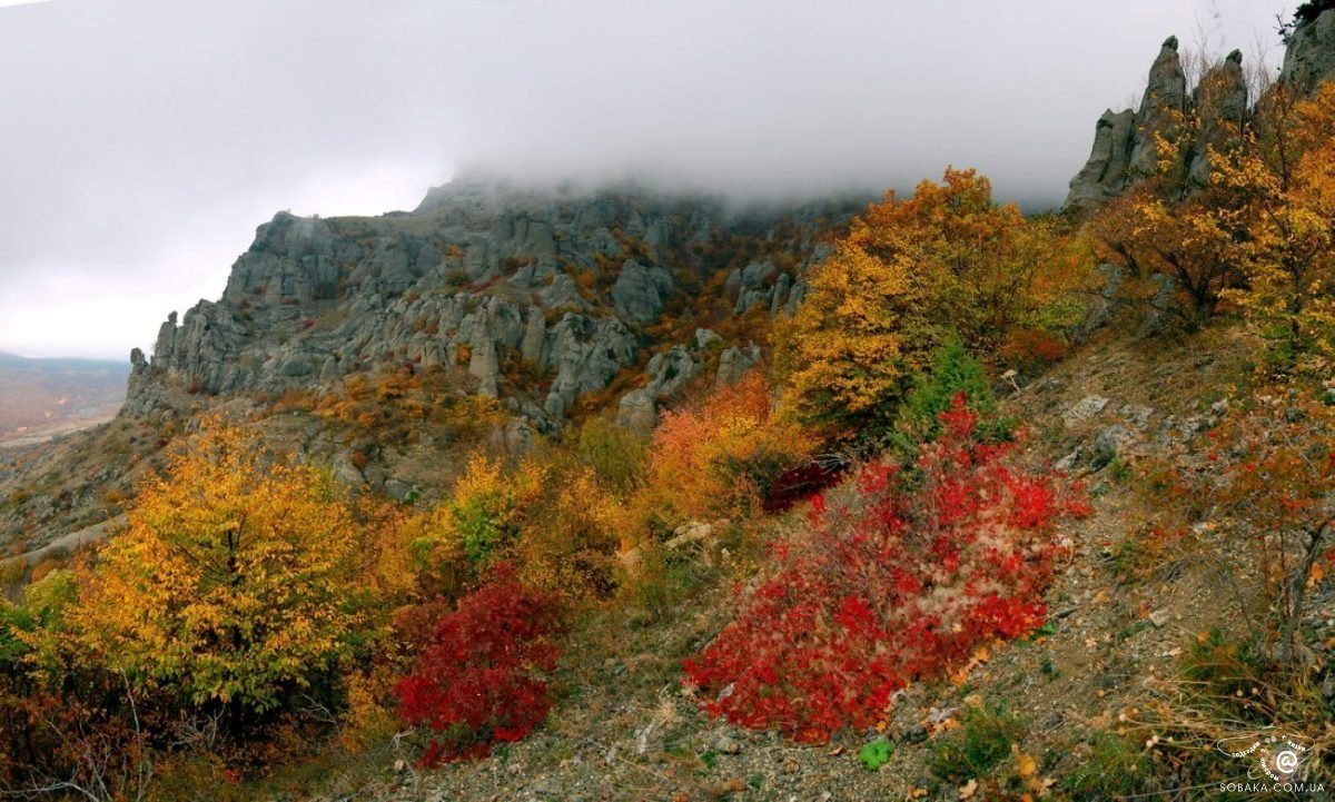 Ялта горы осень