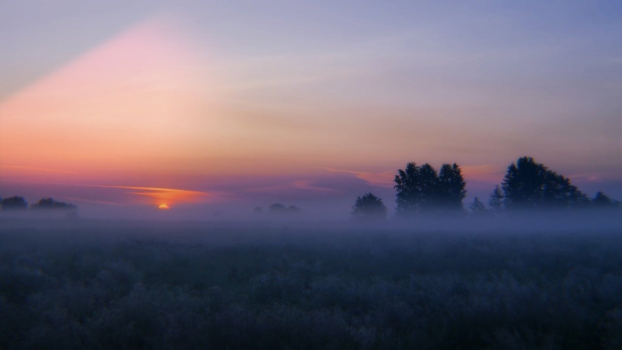 Спокойно ранним утром в глухом. Поле в тумане. Раннее утро туман. Рассвет туман. Густой туман в поле.