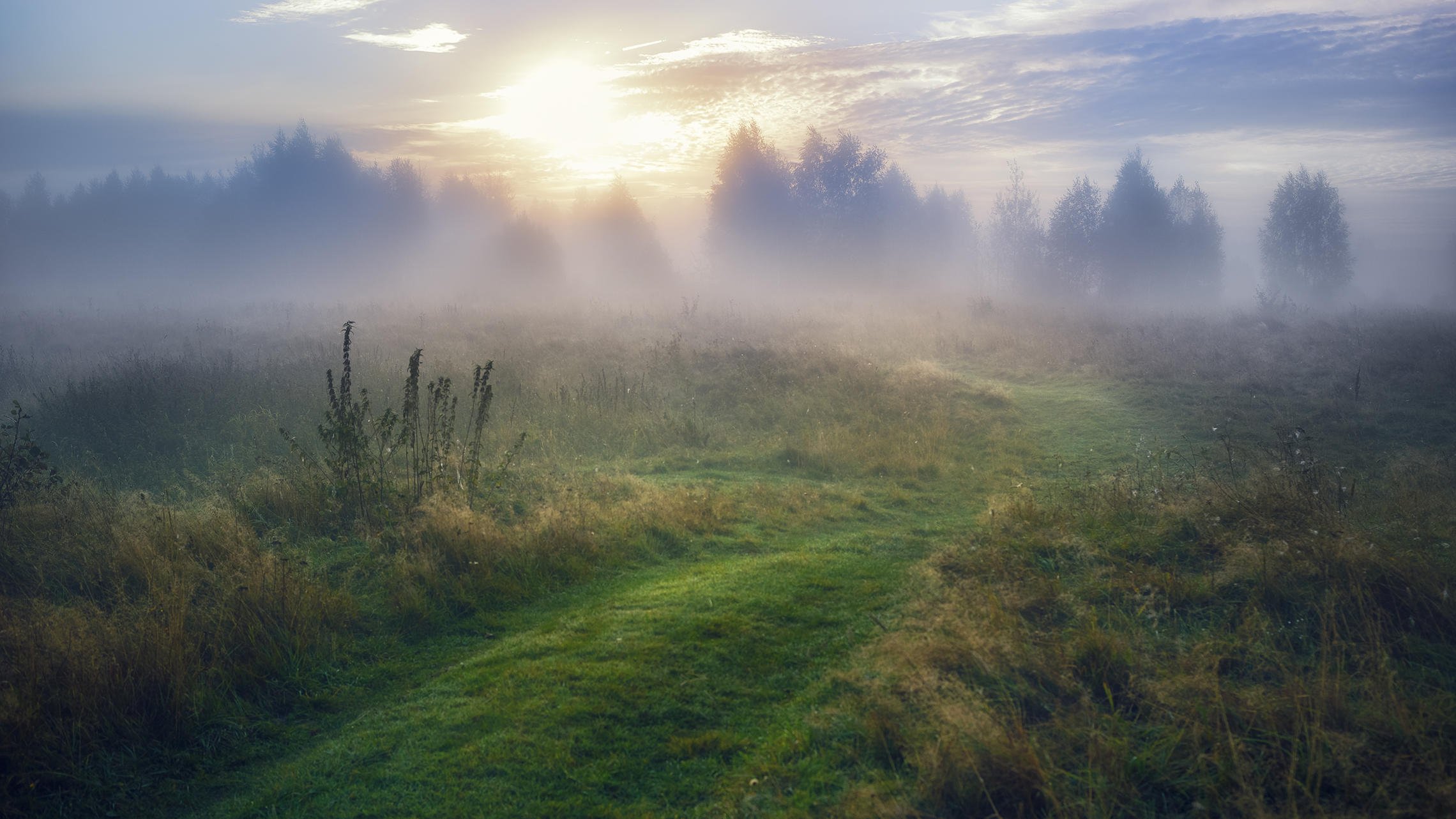 Спокойно ранним утром в глухом. Пейзаж туман. Туманный пейзаж. Поле в тумане. Рассвет туман.