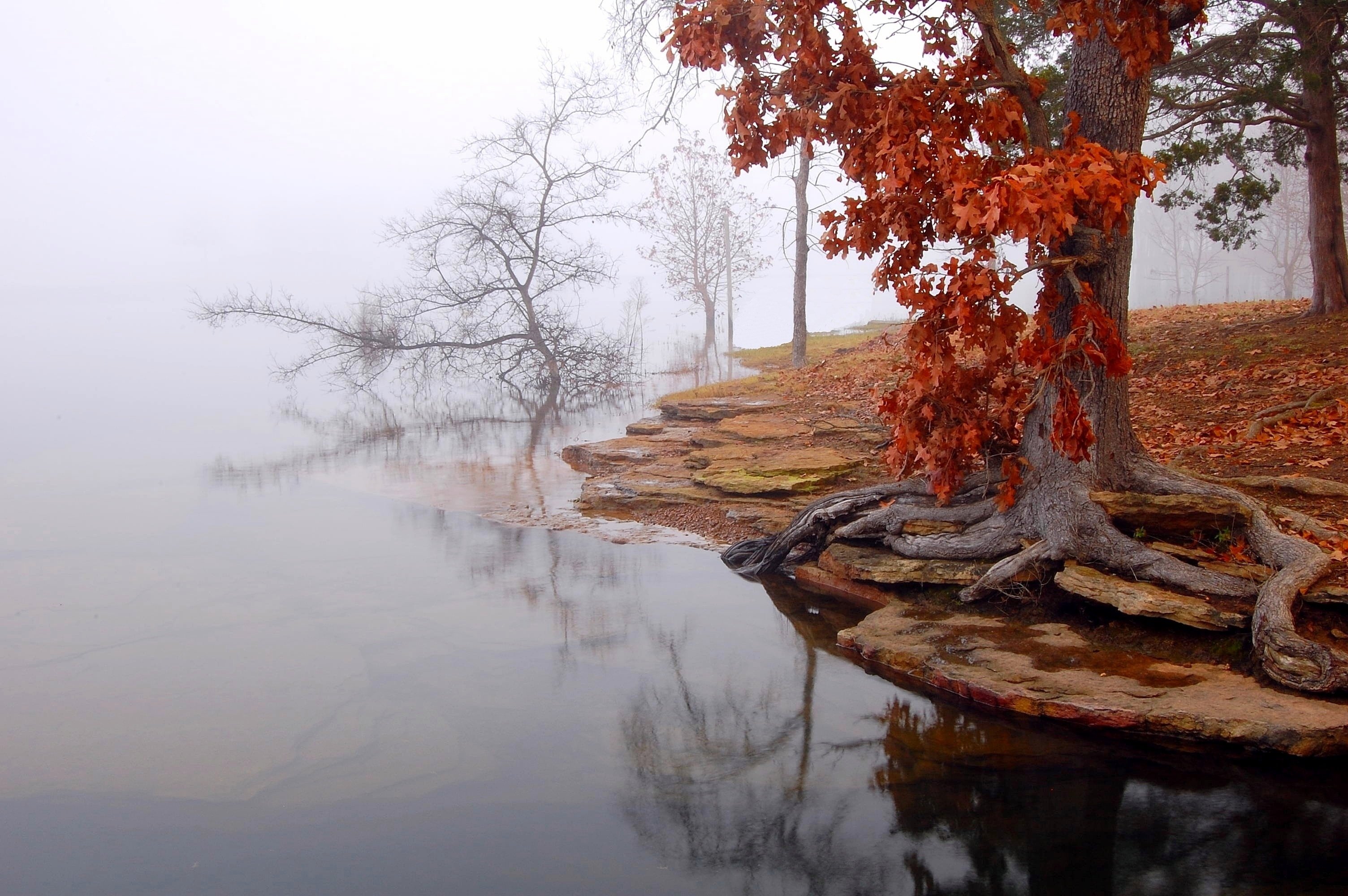 Осенние холодные туманы. Осеннее озеро. Поздняя осень. Ноябрь природа. Осень озеро.