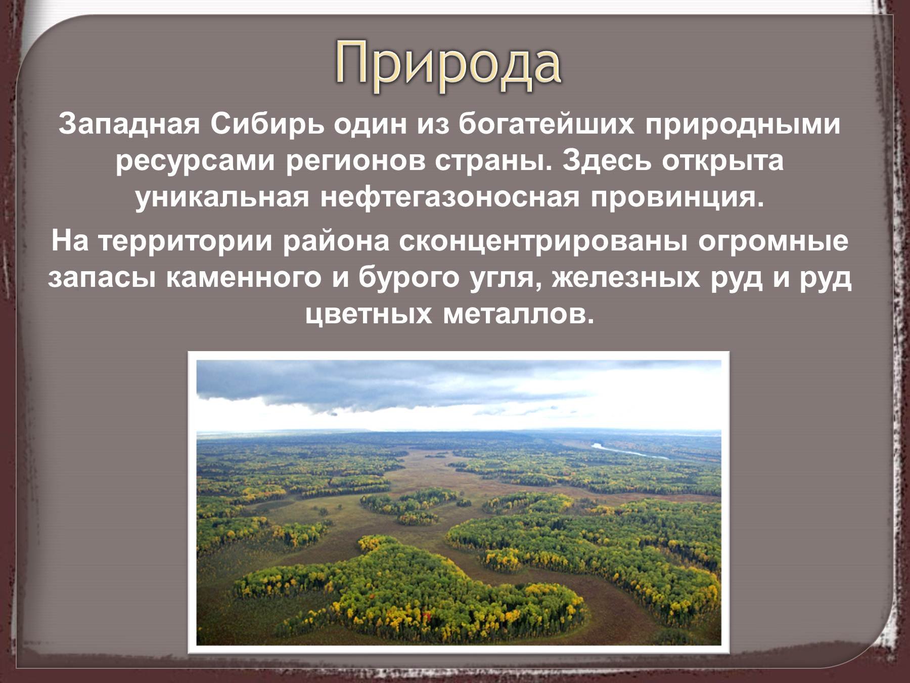 Западно сибирская равнина особенности природы презентация 8 класс