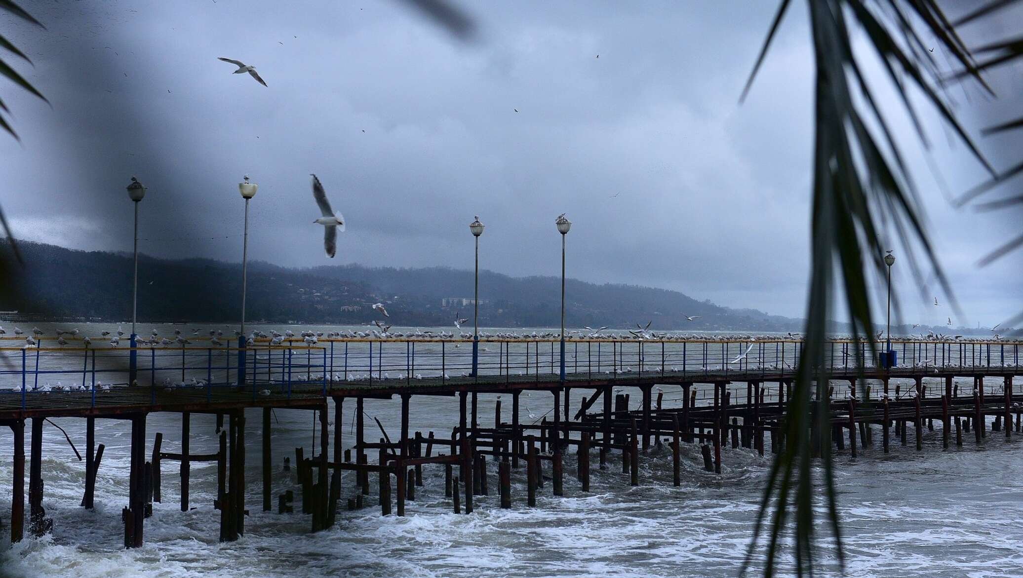 Погода гагра вода в море. Ливень в Абхазии. Сухуми дождь. Непогода в Абхазии. Дожди в Абхазии.
