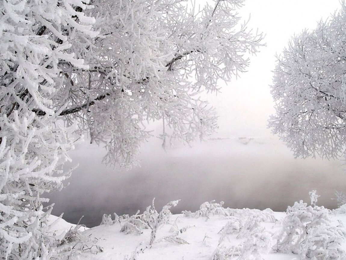 Бела зима снегами. Снег. Зимний пейзаж. Белый снег. Зимний пейзаж фото.