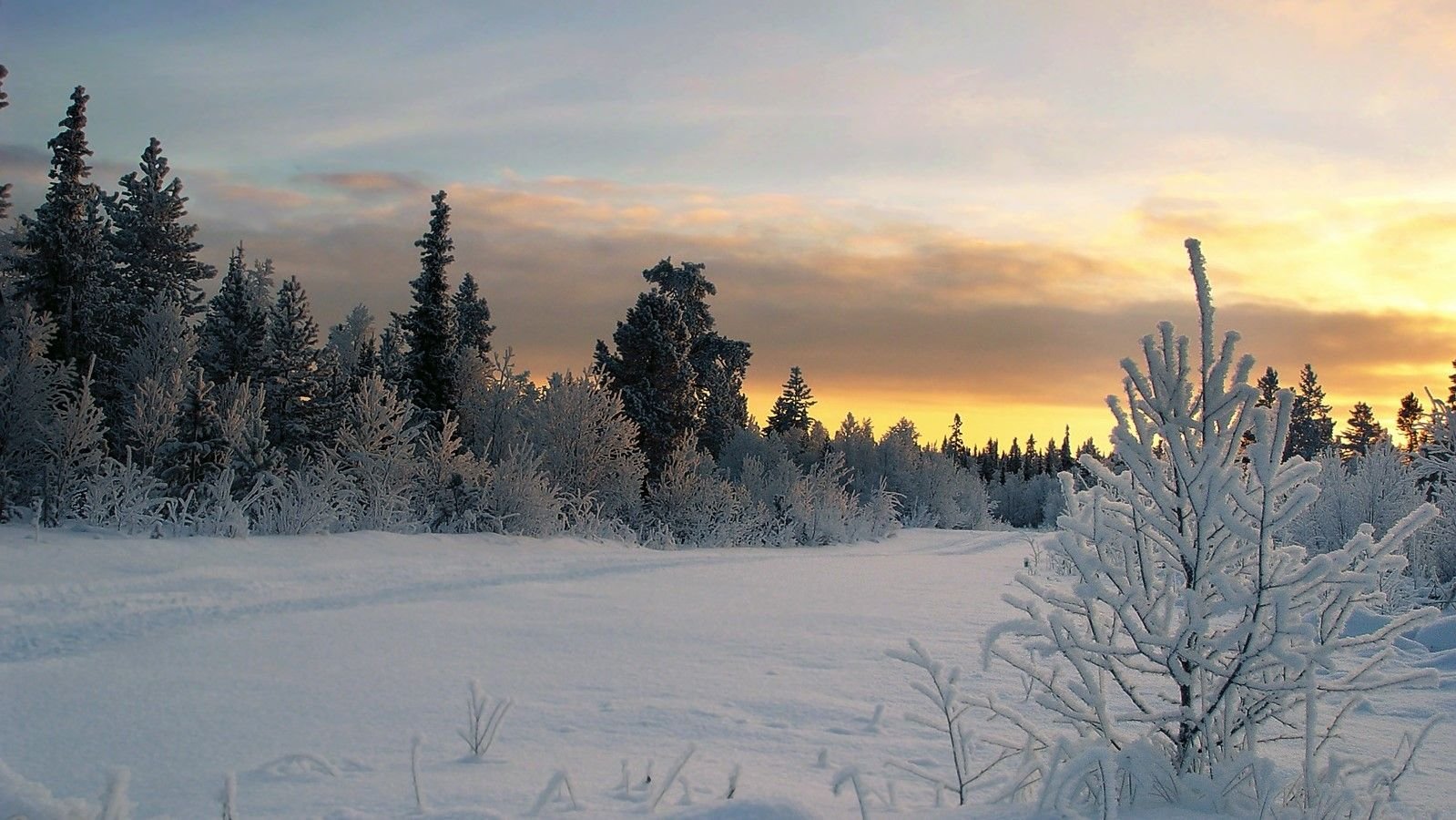 Какая пороша будет завтра. Зимний закат. Зимняя пороша. Закат зимний вечером в лесу. Зимнее солнцестояние фото.