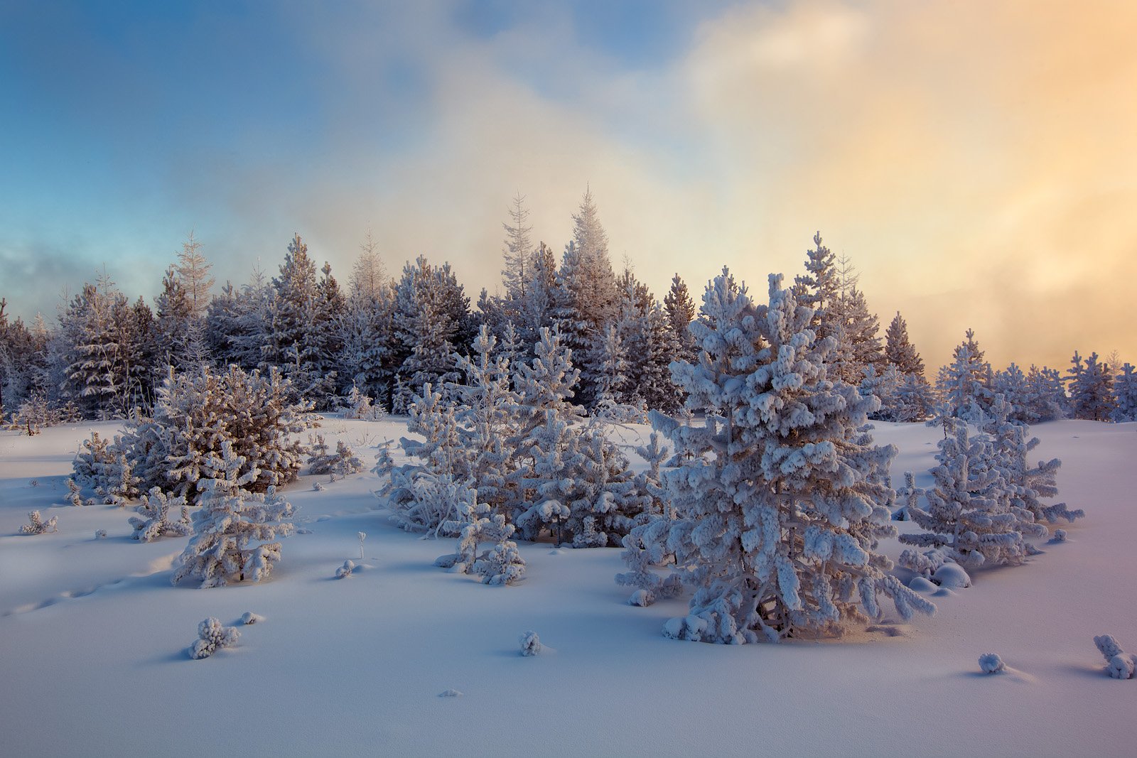 Якутия зимой. Природа Якутии зимой. Зимний пейзаж Якутии. Якутия природа зима. Якутский зимний пейзаж.