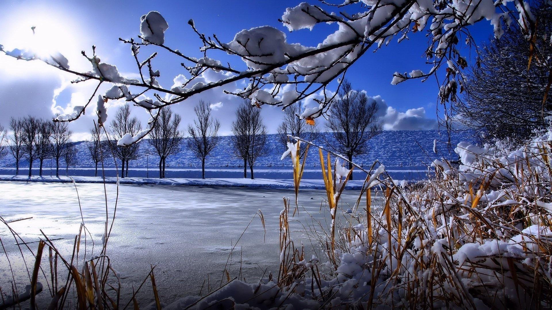 Snowy morning fred. Весенняя природа. Февральский пейзаж. Зимняя природа.