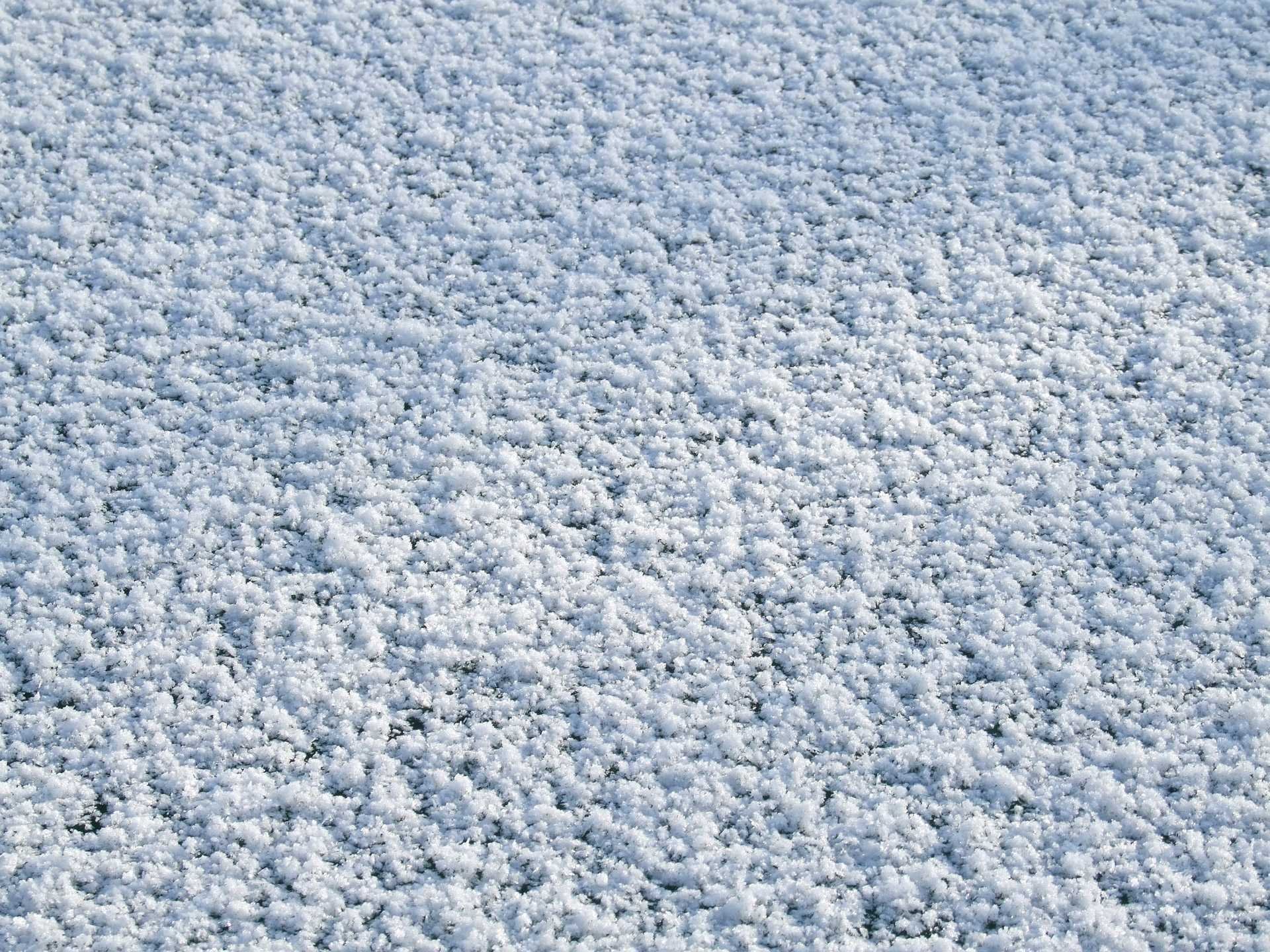 Виды снежков