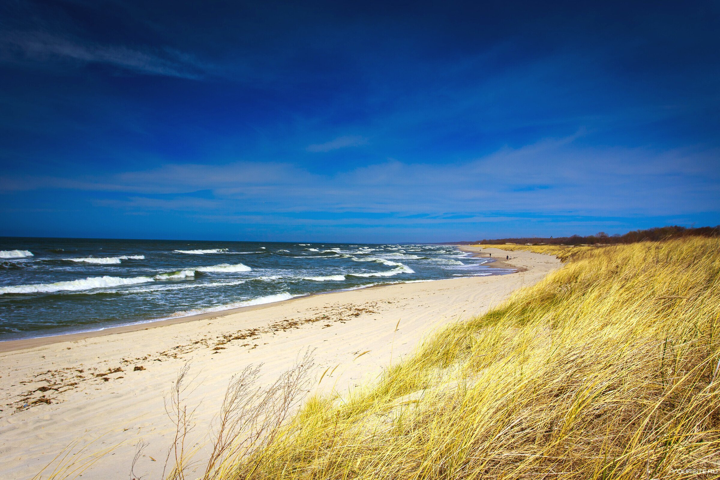 берег балтийского моря