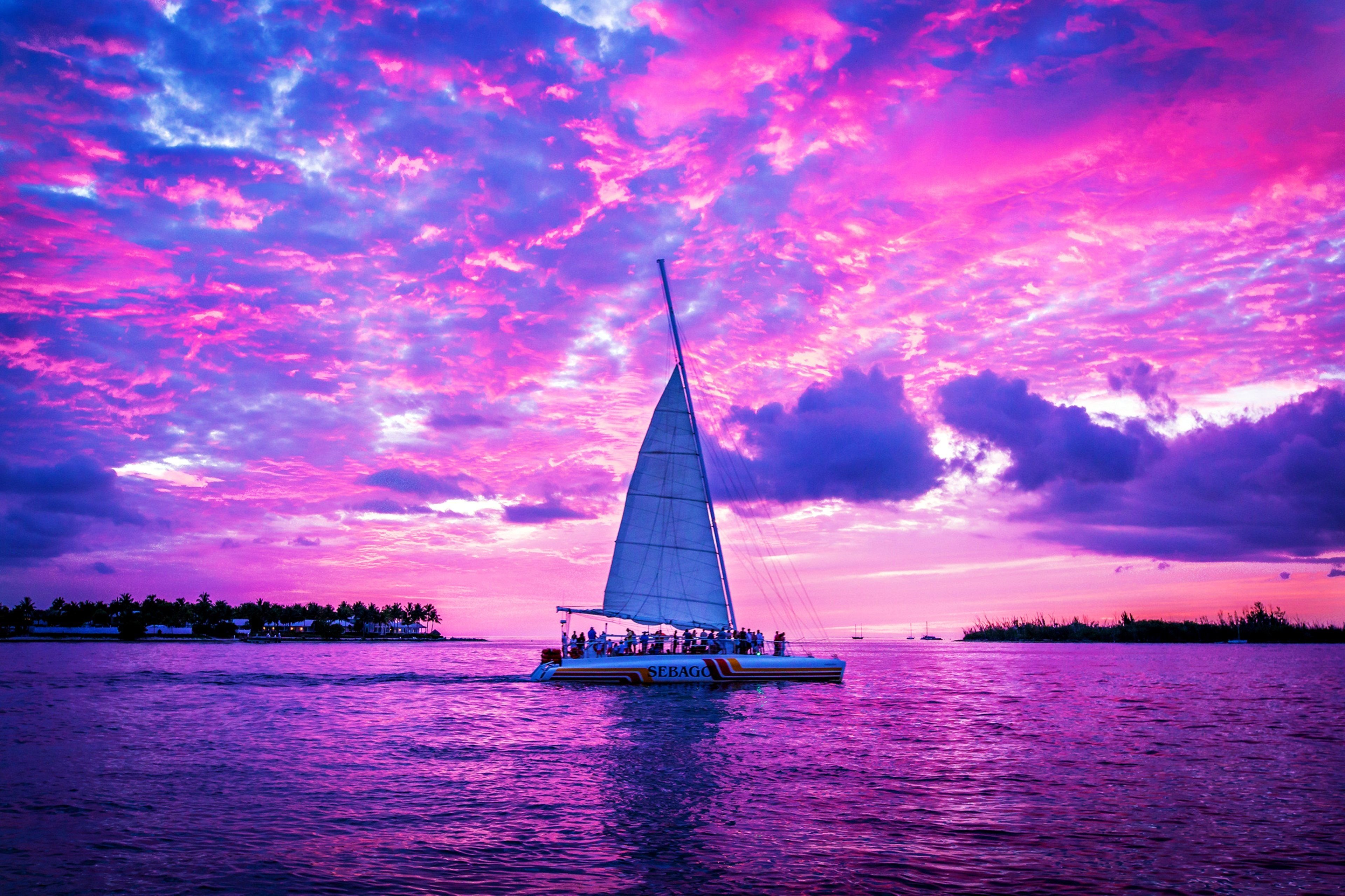 Purple sail