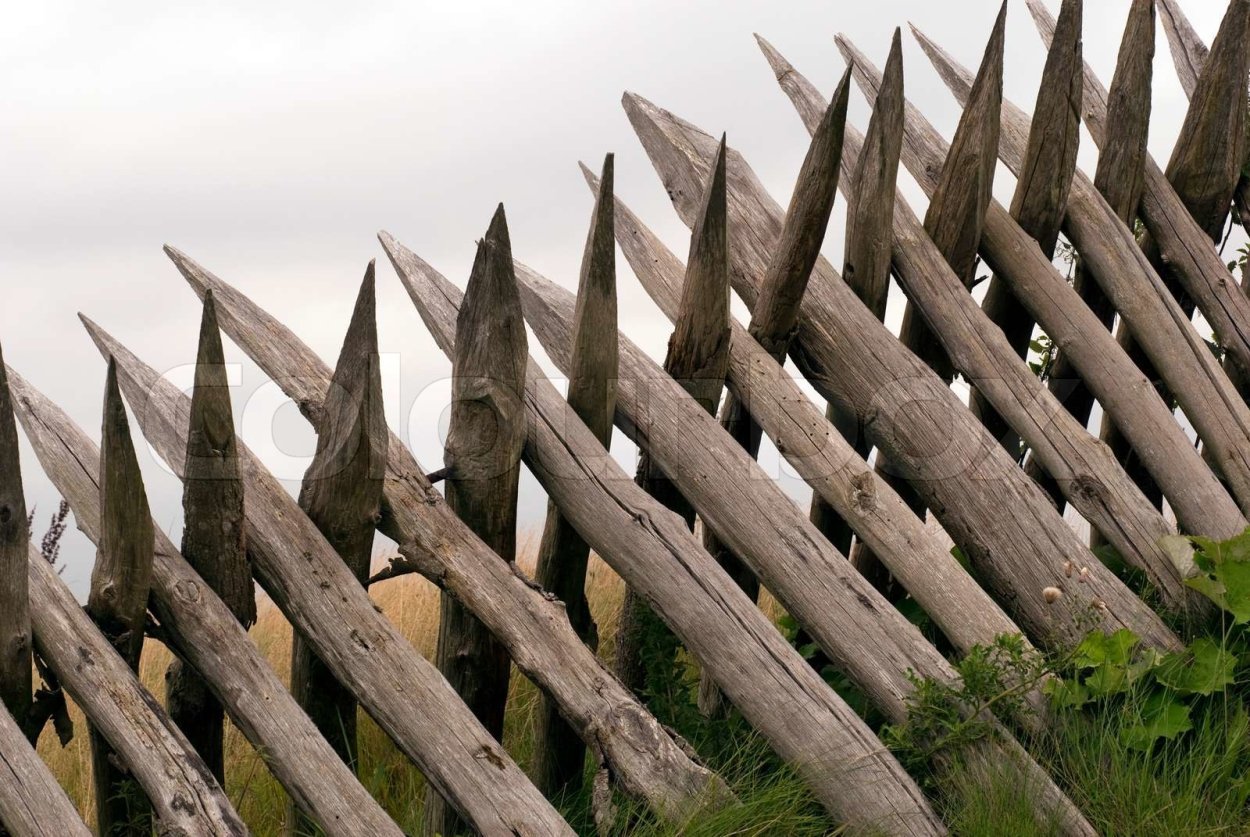 высокий деревянный забор раст фото 84