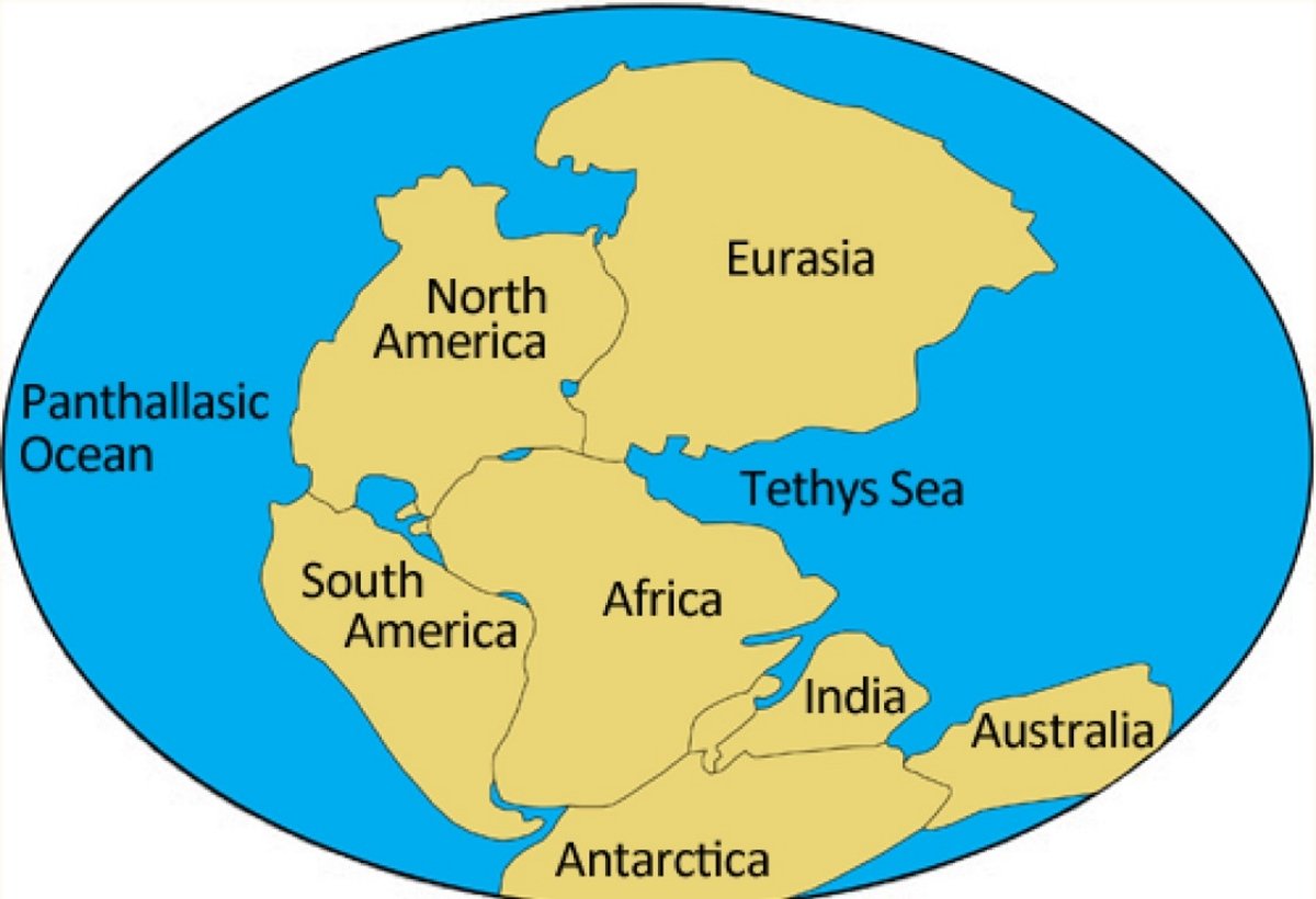 Древний океан тетис. Пангея Гондвана Лавразия. Лавразия и Гондвана. Гондвана и Пангея. Гондвана материк на карте.