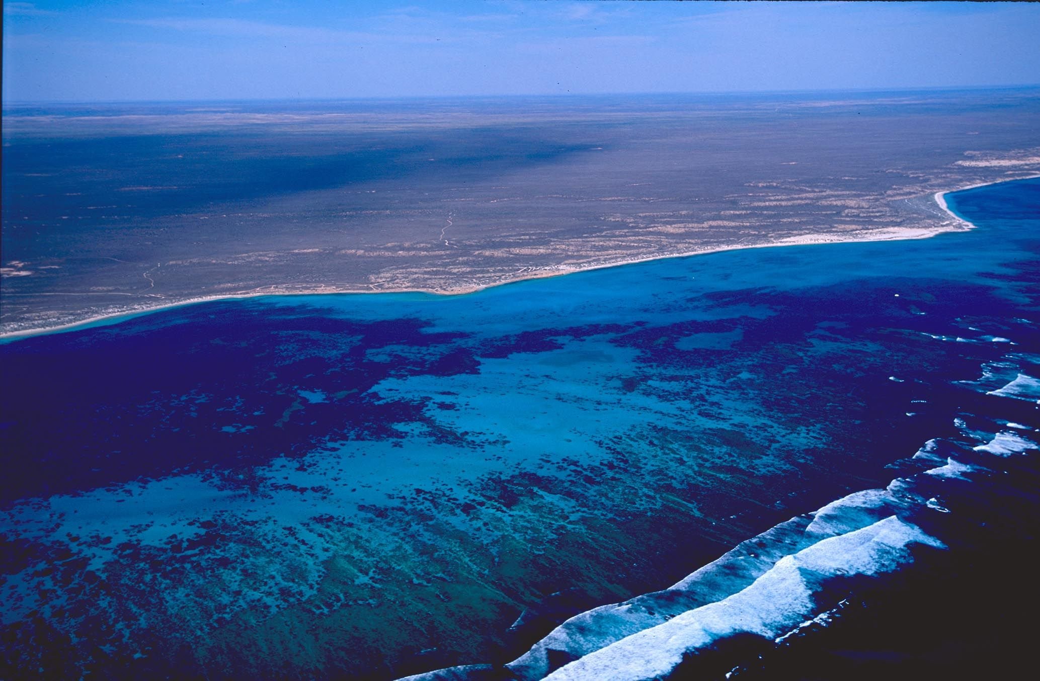 Крупнейший остров у берегов австралии. Акулья бухта в Австралии. Залив Шарк. Акулья бухта, Западная Австралия.