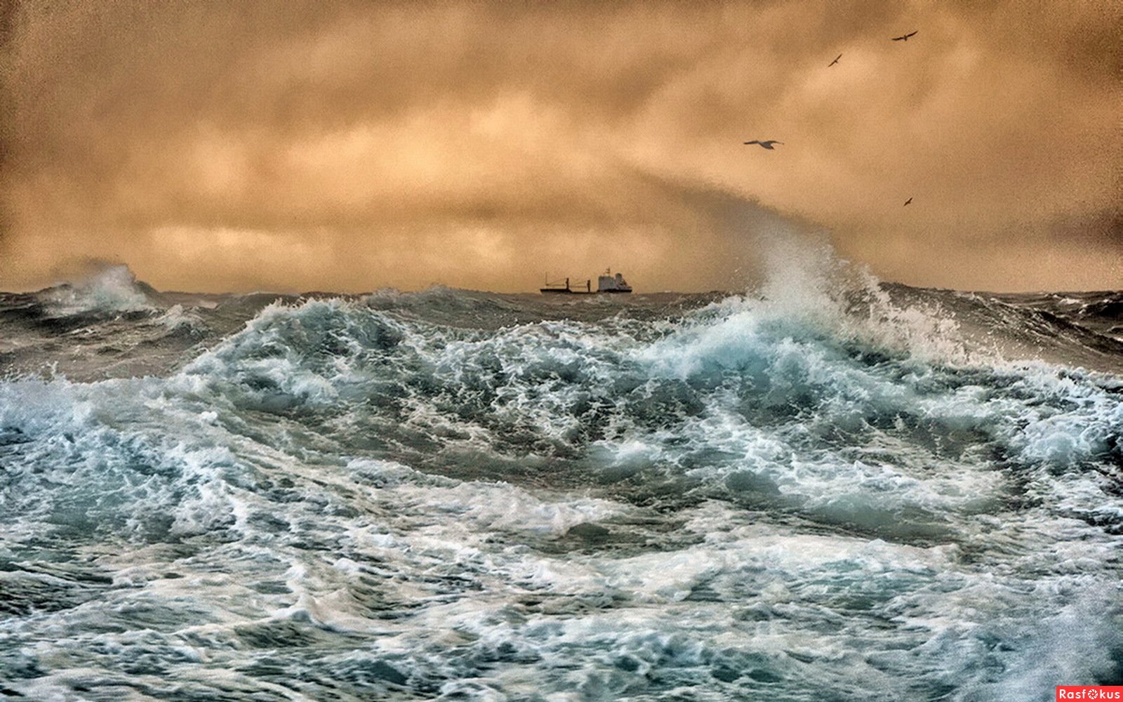 К чему снится шторм волны. Каспийское море шторм. Патрик Дэн "штормовой прилив". Бушующее море. Волны шторм.