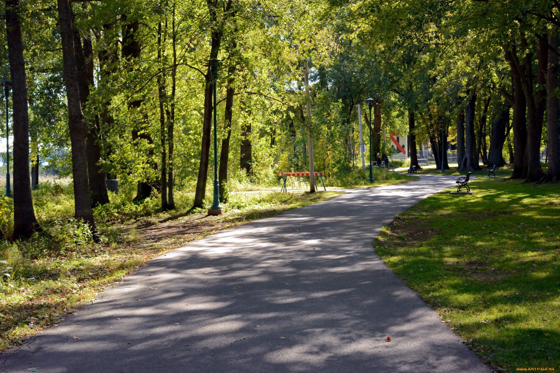 Аллея серебристых. Главная аллея парка. Вид в парке летом. Аллея в парке настил. Старинный парк с пешеходными тропинками.