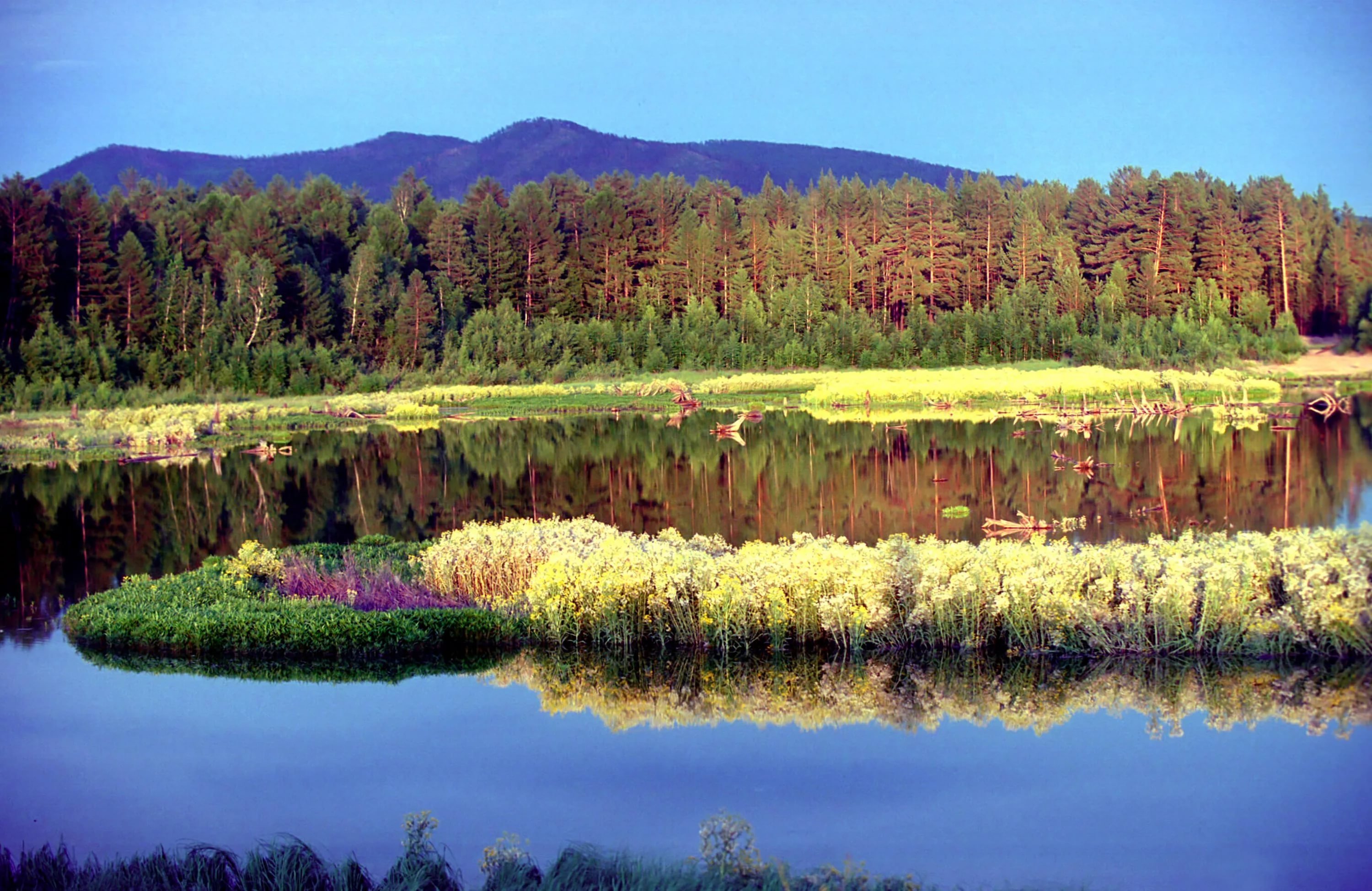 Сибирские увалы это горы. Природный парк Сибирские Увалы. Озеро Таежное Забайкальский край. Тайга Забайкалье. Таежные озера ХМАО.